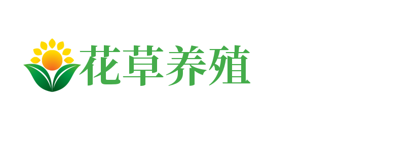 新疆维吾尔自治区喀什地区莎车县虑晓阳木鹅苗有限责任公司